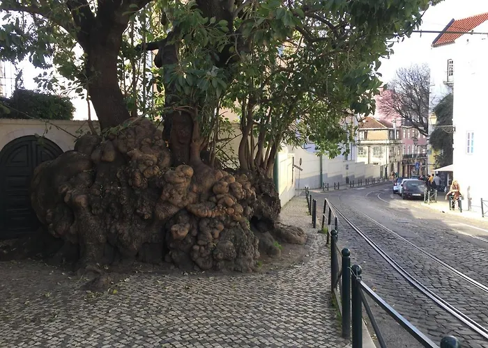 Draft & אכסניה ליסבון