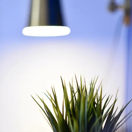 Hostel Draft Hostel&rooms Lissabon